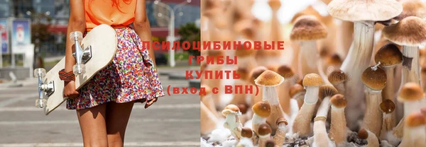 винт Алексин