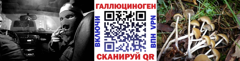 Псилоцибиновые грибы ЛСД  Пустошка 